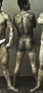 Hommes avec tatouages traditionnels japonais Irezumi, vers 1880 (photo albumine colorée à la main) - Japanese Photographer